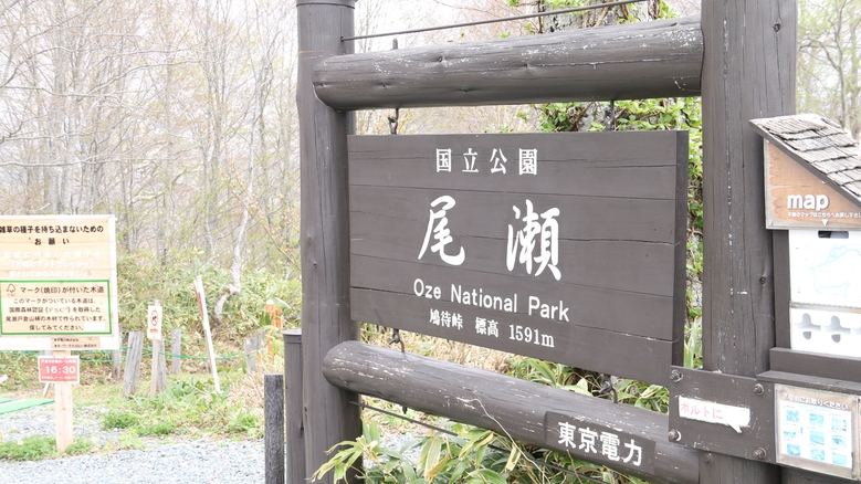尾瀬国立公園 