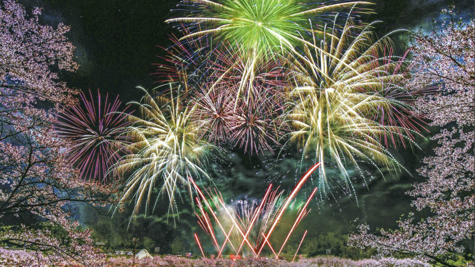 ・＜白竜湖花火＞桜と花火という両雄を一緒に鑑賞できる贅沢な花火大会。4月初旬に開催されます
