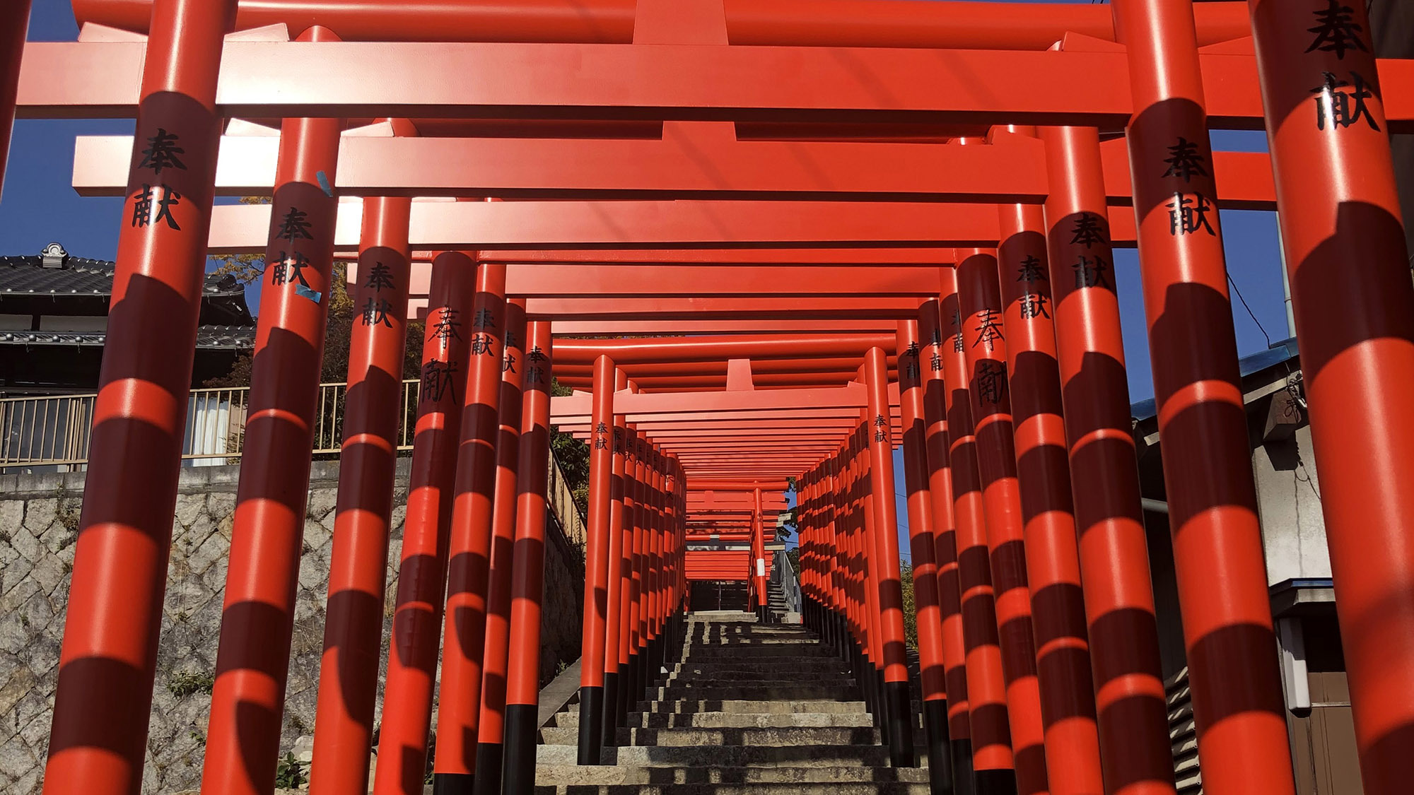 ・＜大島神社＞2020年11月に完成したばかりの連立鳥居。新しいインスタ映えスポットです