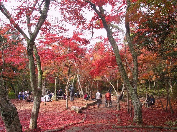 瑞宝寺公園