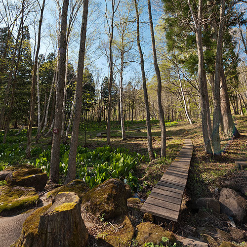 周辺の自然や風景