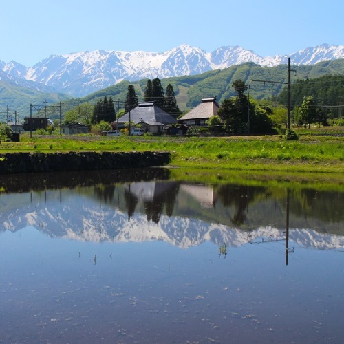 夏・初夏の白馬水鏡