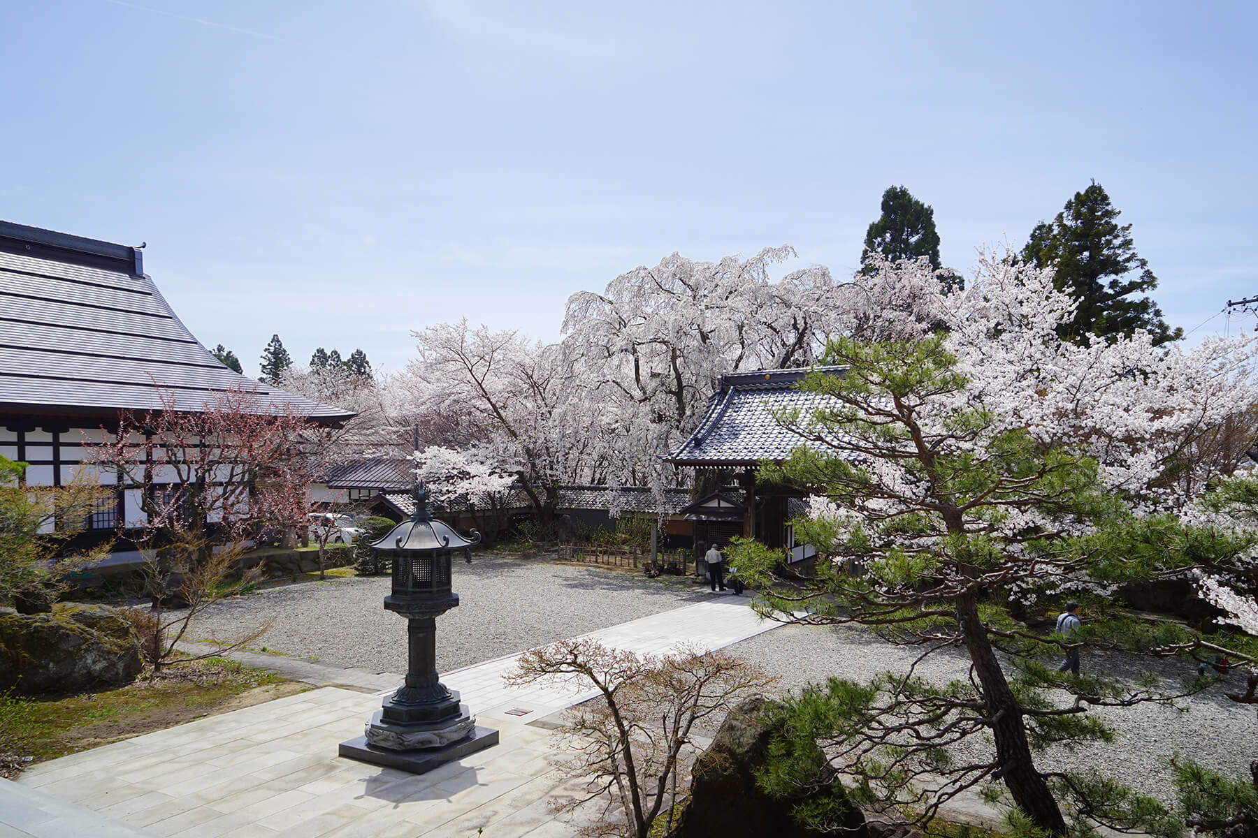 高社山さくらの里谷厳寺