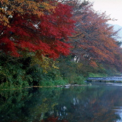 紅葉の大原川