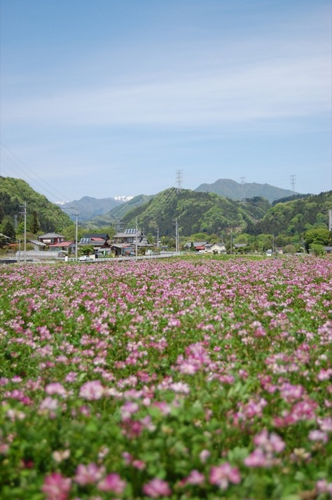 澤渡溫泉宮田屋旅館