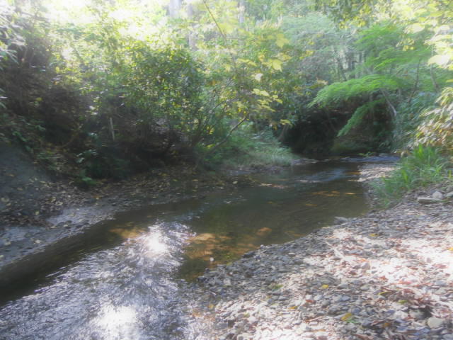 川のせせらぎ