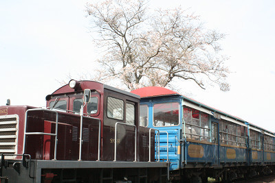 『トロッコ列車』