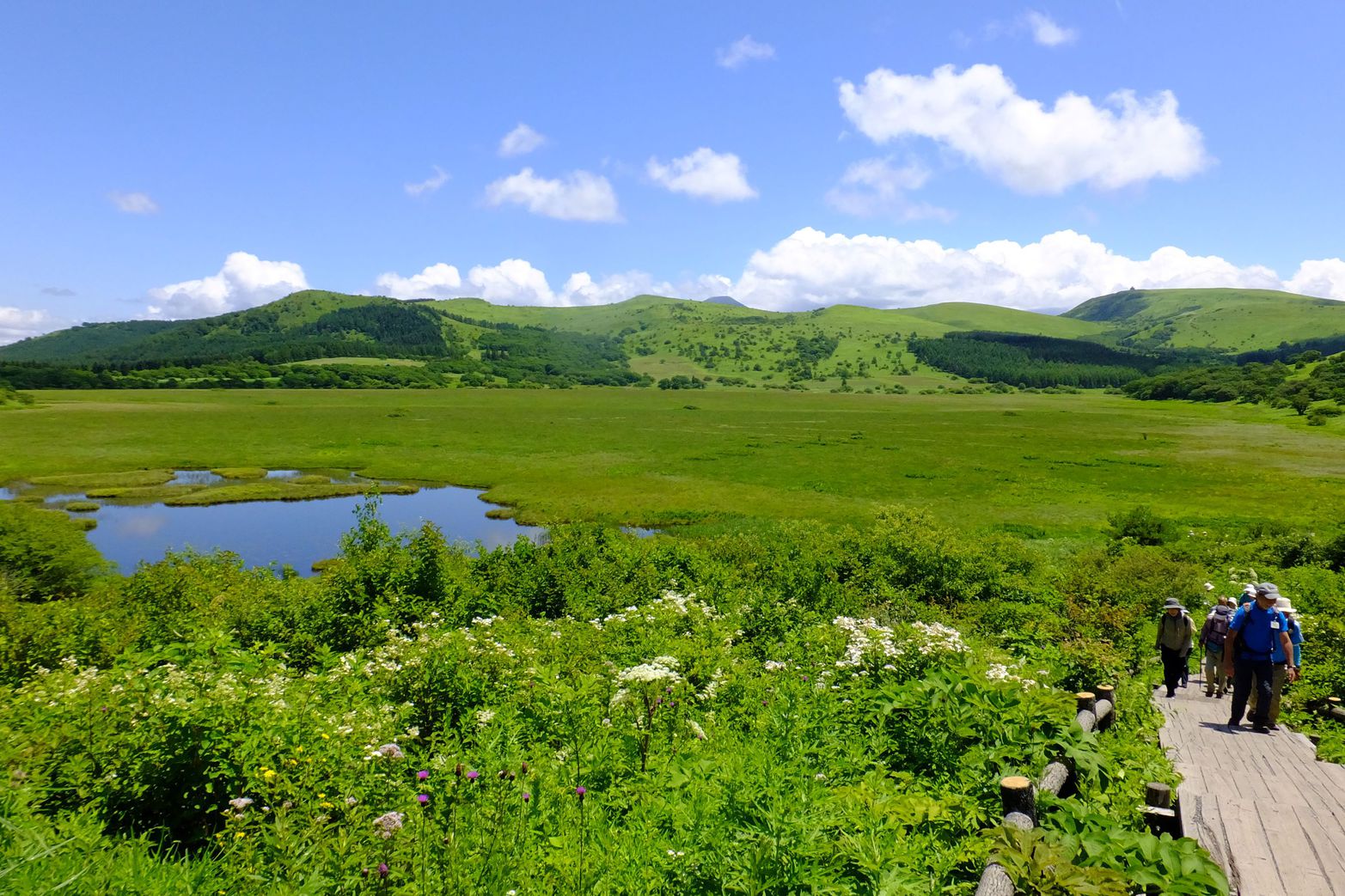 八島湿原