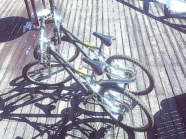 レンタサイクル