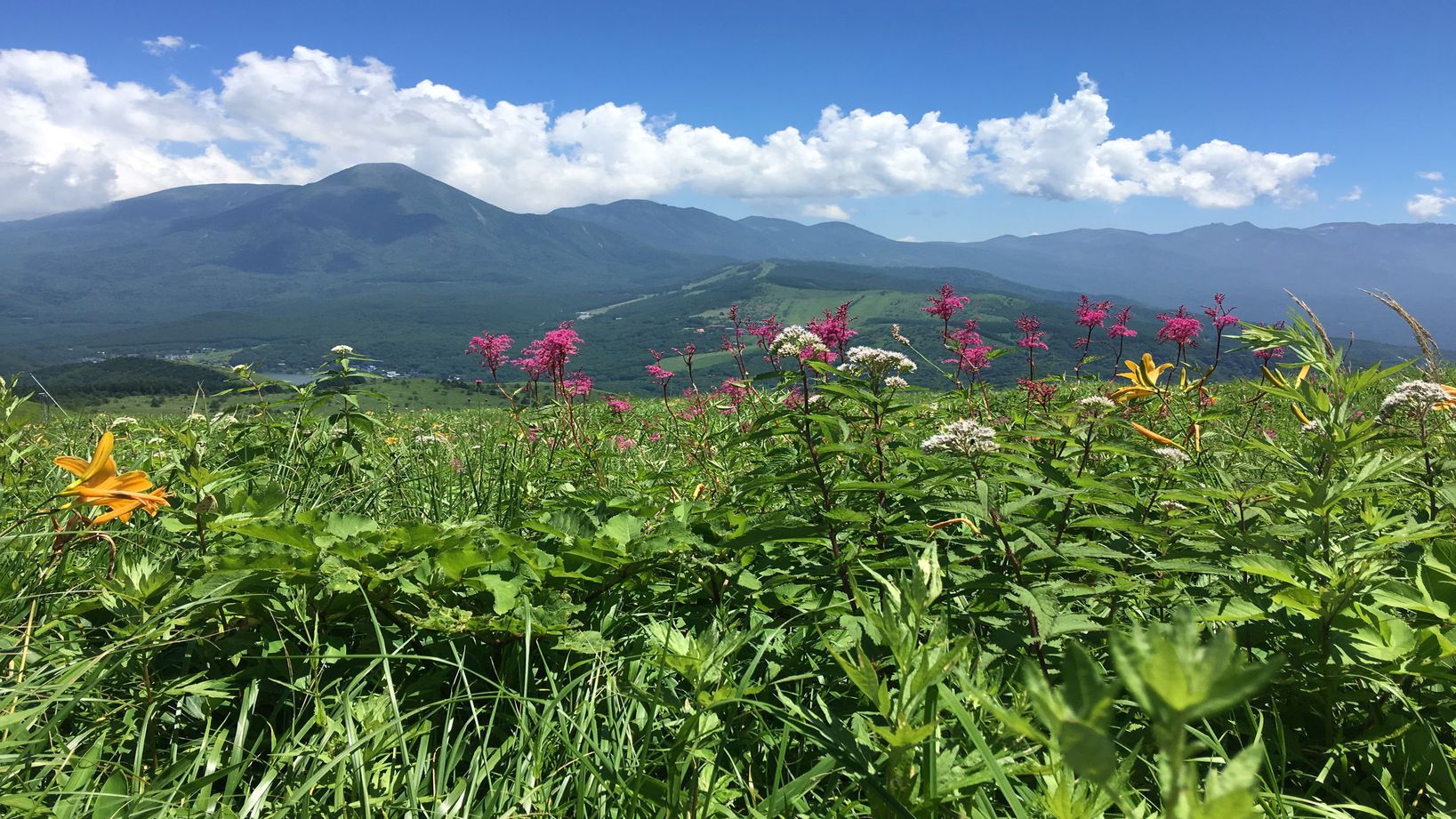 霧ヶ峰3