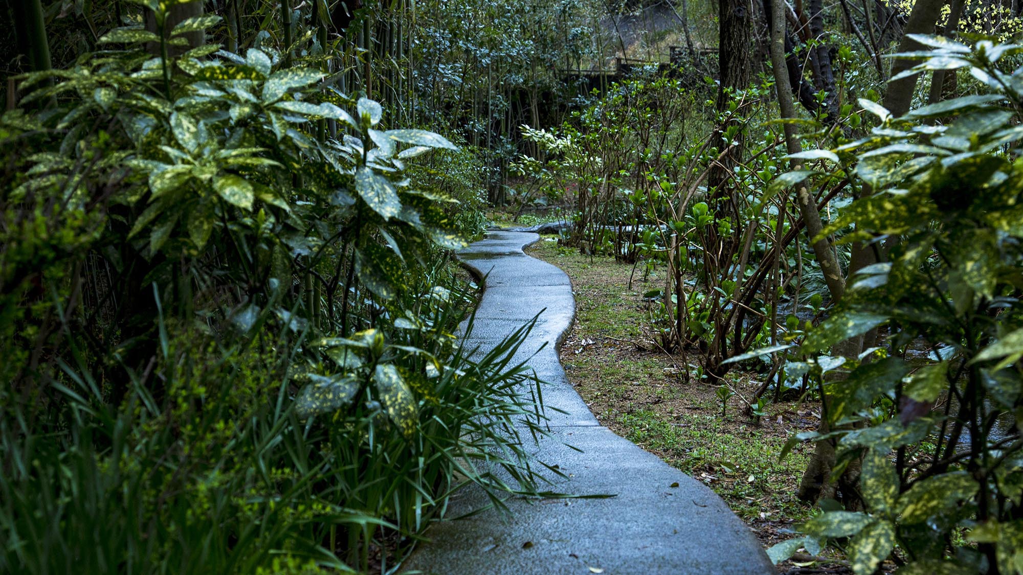 雨の日の風景