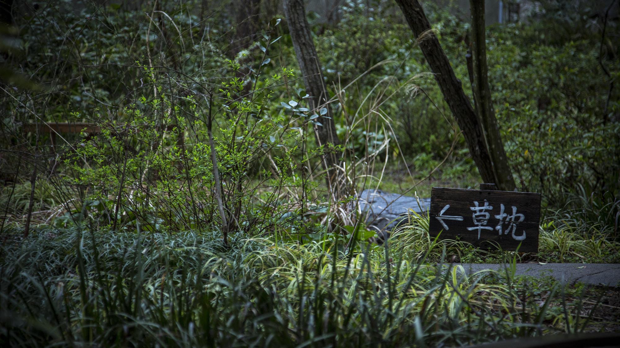 雨の日の風景