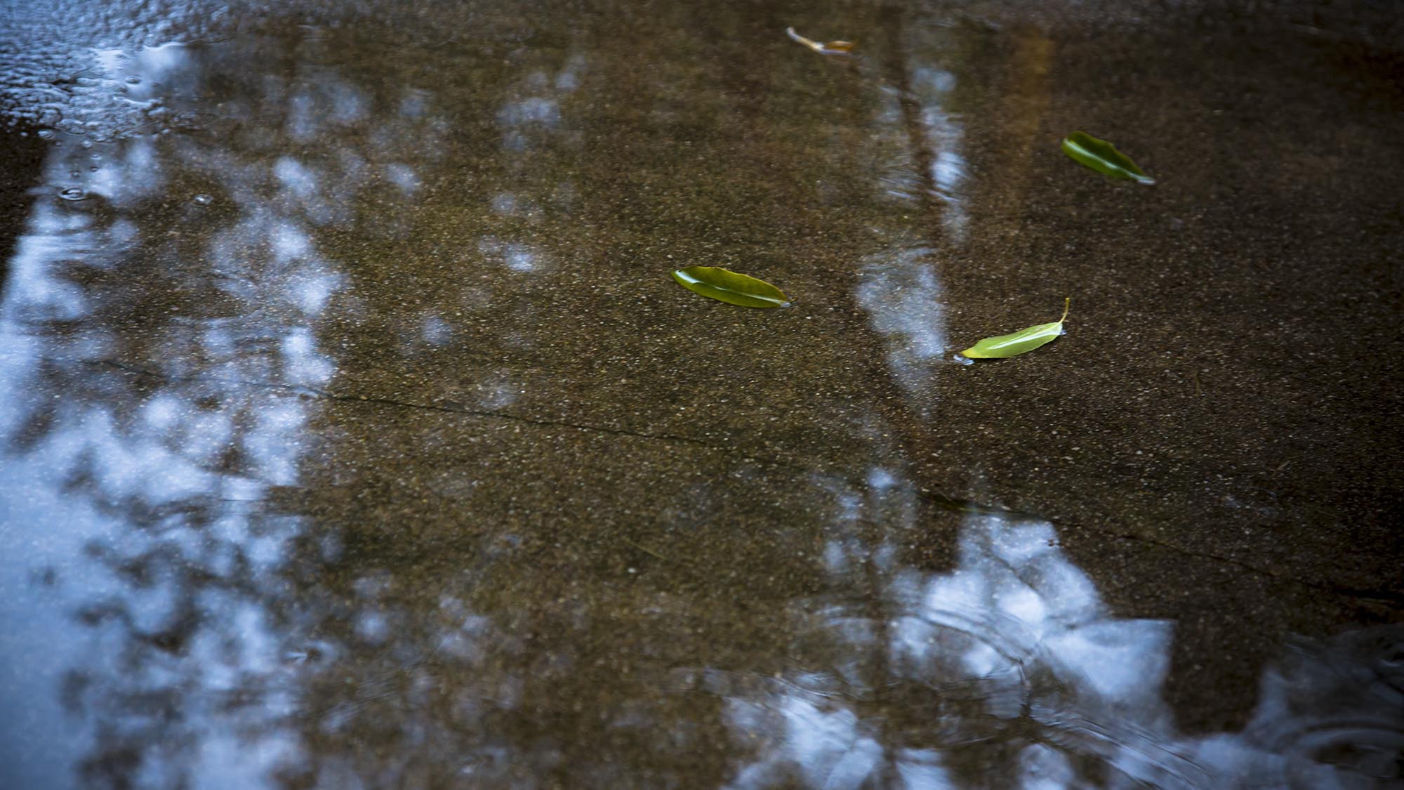 雨の日の風景