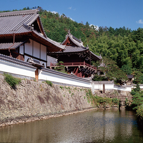 【黒井城跡&興禅寺】大河ドラマ「麒麟がくる」光秀の丹波攻めの舞台となった地（当館より車で約95分)