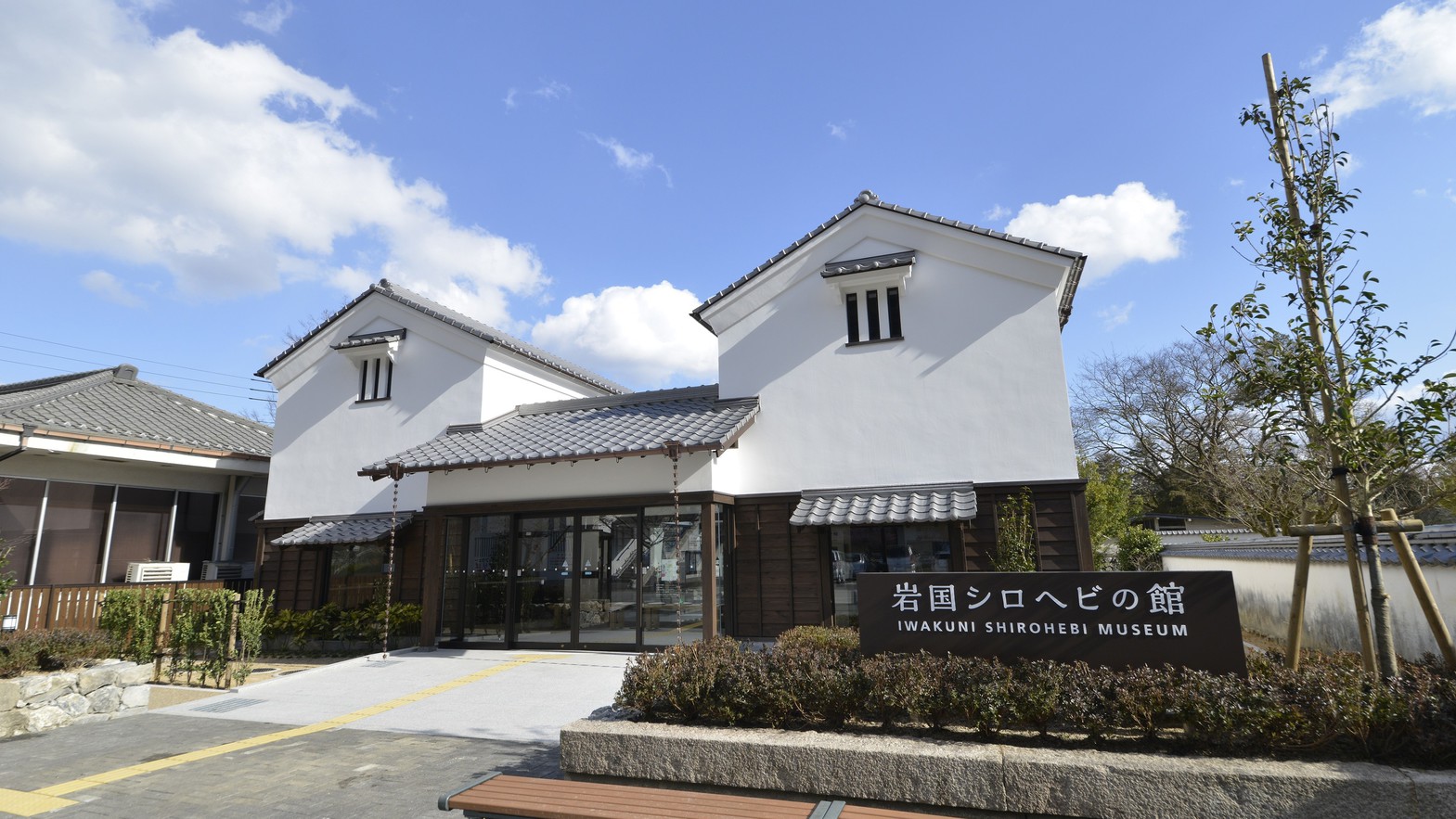 提供元：岩国市観光振興課シロヘビの館