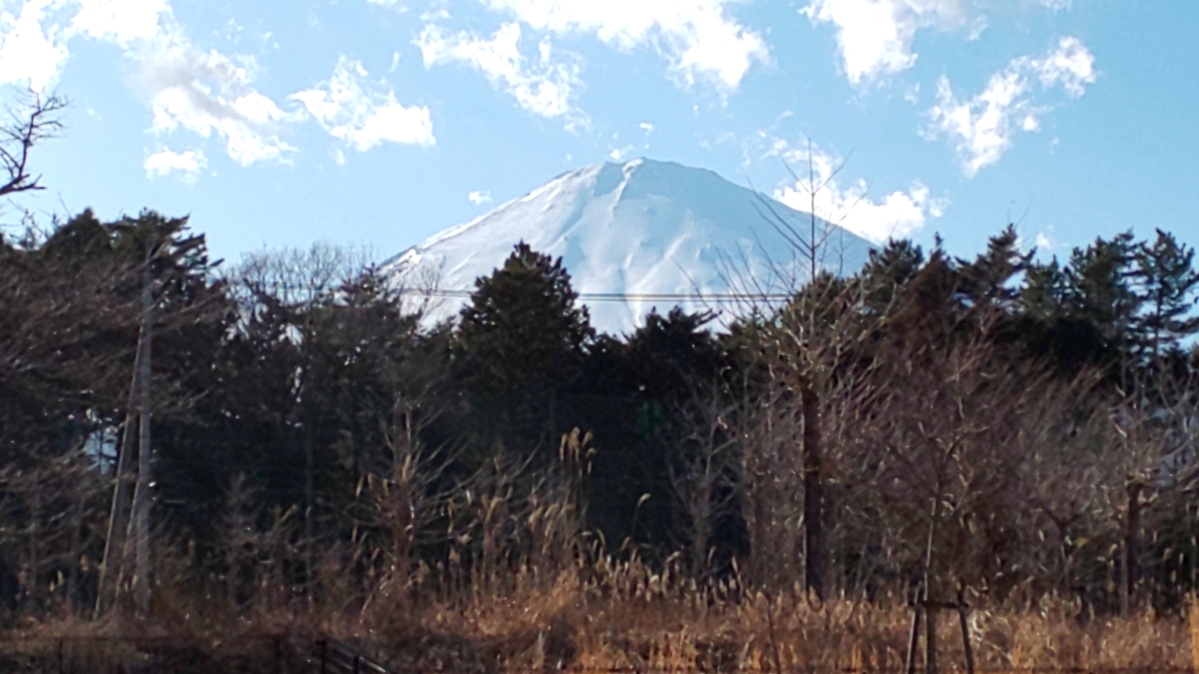 富士山を間近に眺めながら