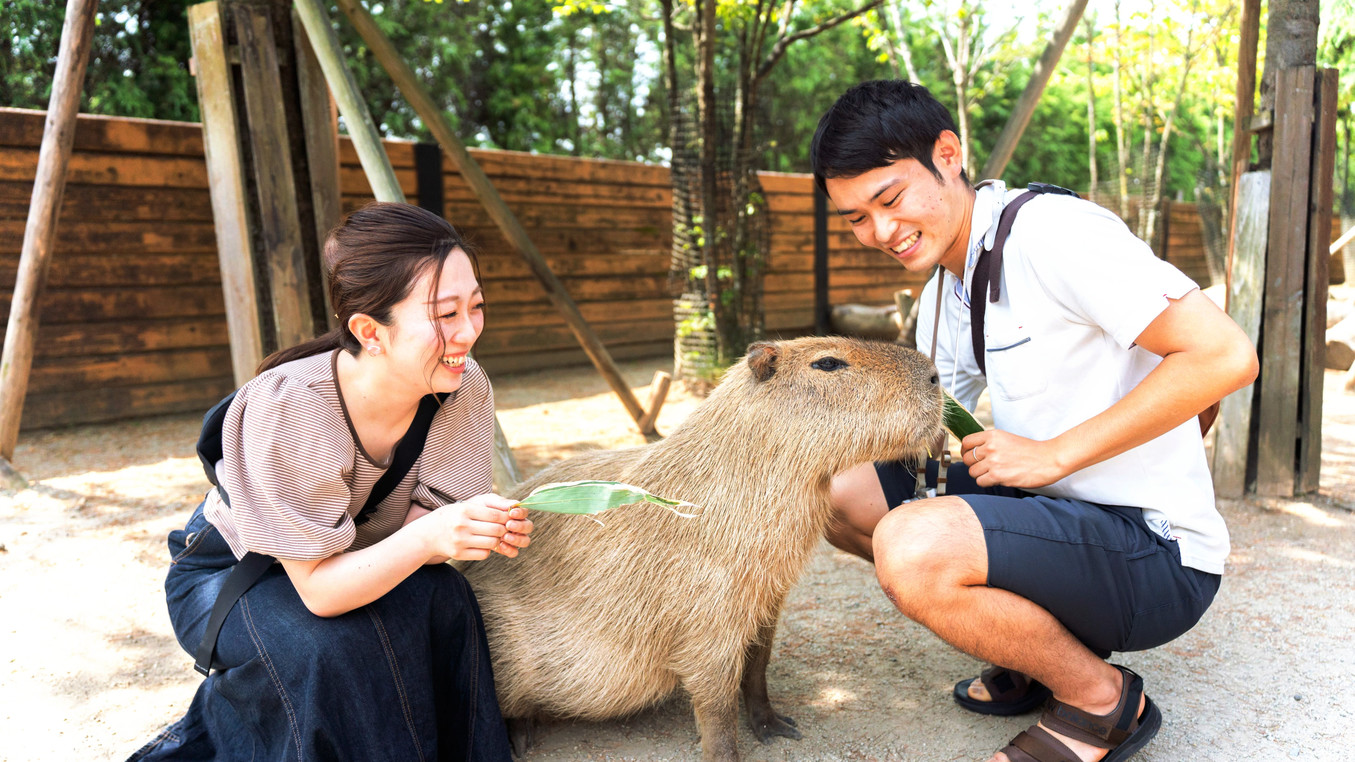 那須どうぶつ王国