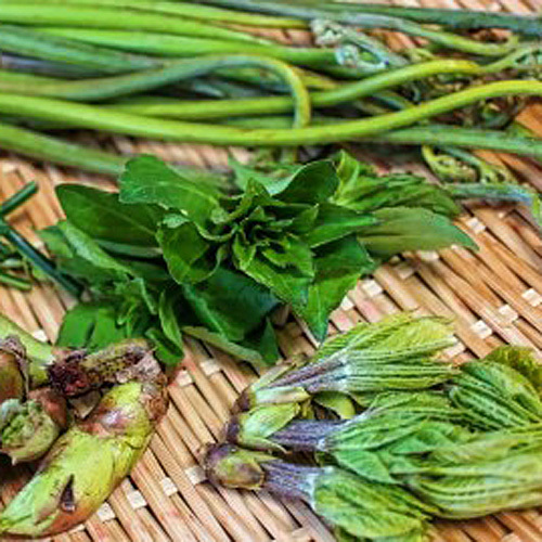 Nishihoppo Onsen Hotel Image 3, Nagano, Japan