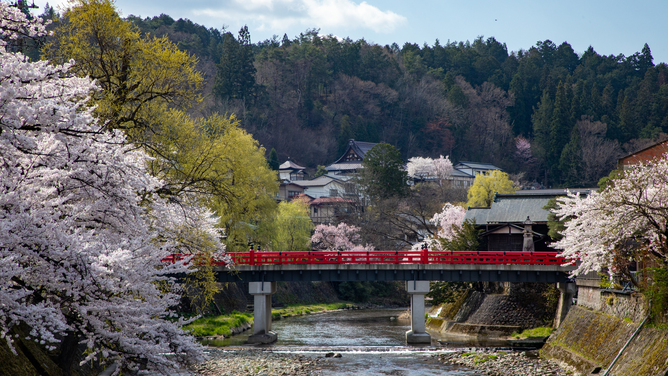 桜の季節は、赤い中橋とのコントラストが抜群！