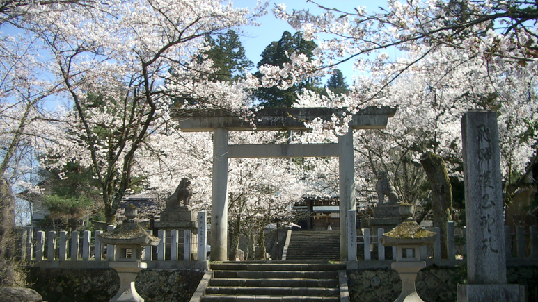 アルピナから徒歩15分ほどの護国神社の桜は、お堀に散った後の「花筏」も見事です。