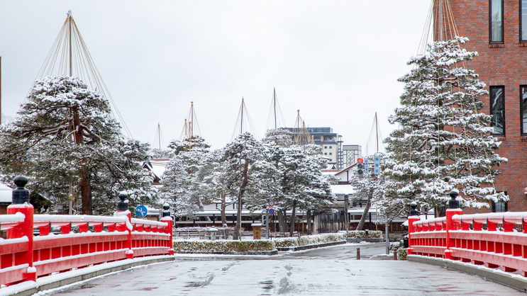 松の枝が雪の重みで折れないようにするための「雪つり」は高山陣屋の冬の景色です。