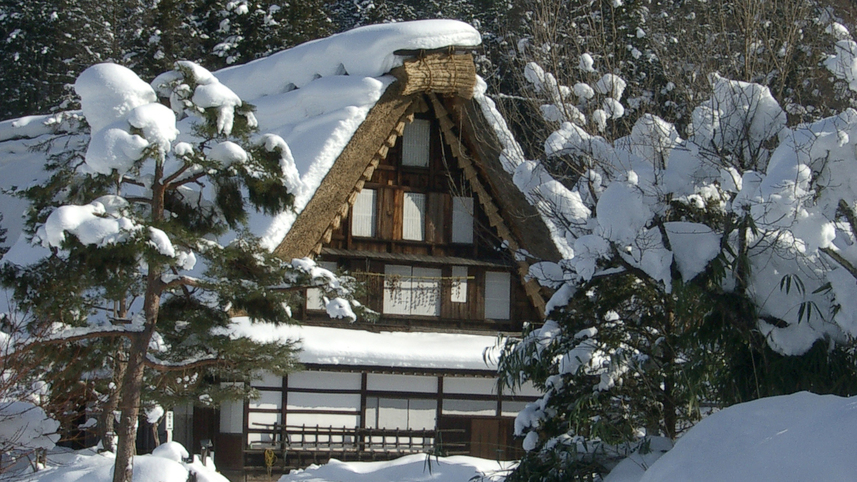 雪をかぶった合掌造りを見たいけど、白川郷までは行けない…;そんな方はぜひ「飛騨の里」へ！