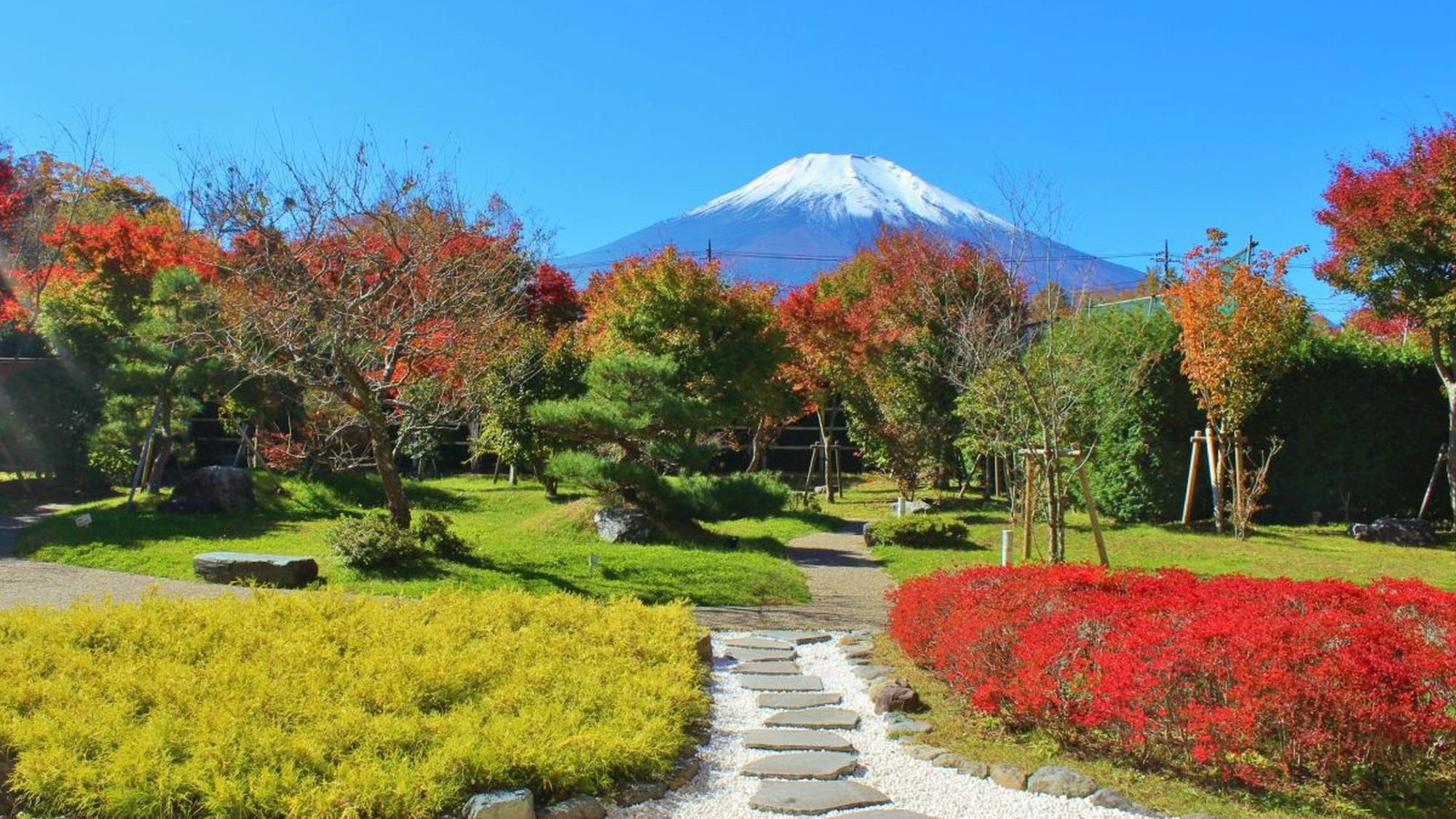 【富士山を眺める日本庭園】ホテルに併設された庭園。温泉を堪能した後は涼みに散策をしてみては。