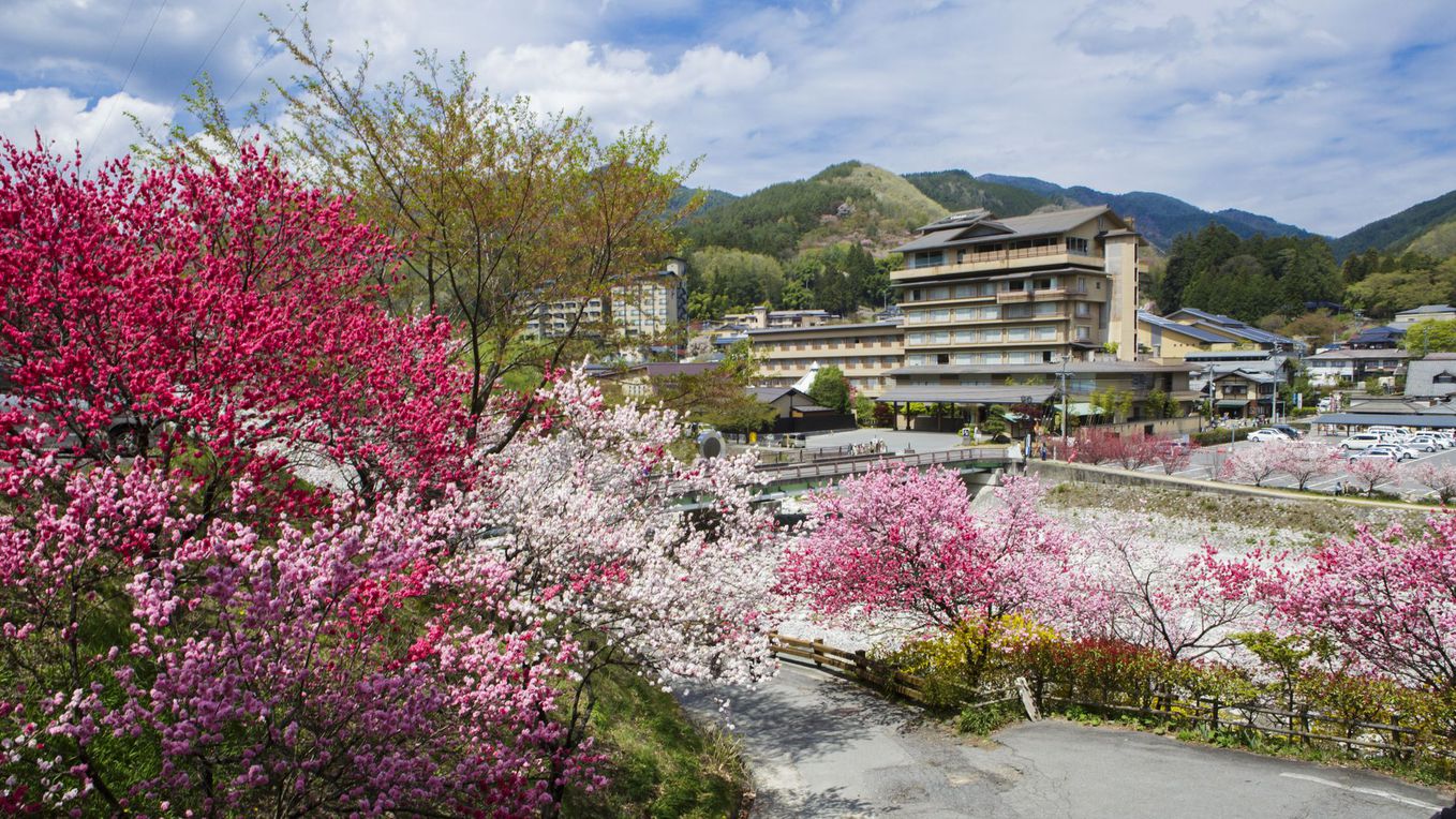 昼神温泉の花桃