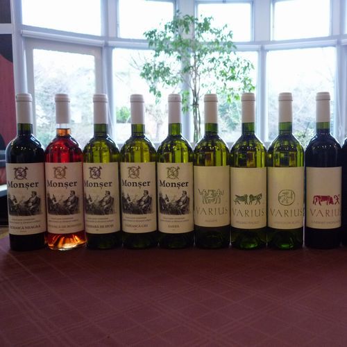 ルーマニアワインは７種あり、すべてグラスでもお楽しみいただけます♪