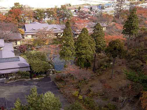 紅葉に囲まれた庭園と数寄屋造り本館