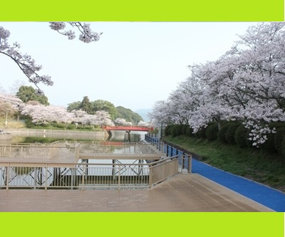 【甘木公園・通称丸山公園】車で約7分県下屈指の桜の名所。また約5000株のつつじも見ごたえあり