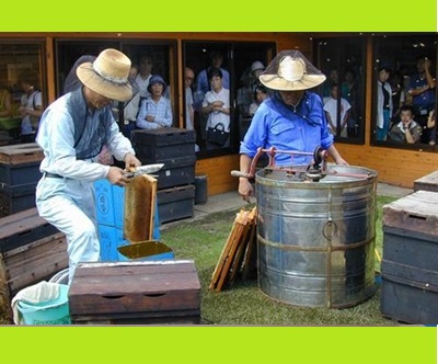 【フジイのはちみつ祭り】車で10分毎年5月9月に開催される人気のイベント！