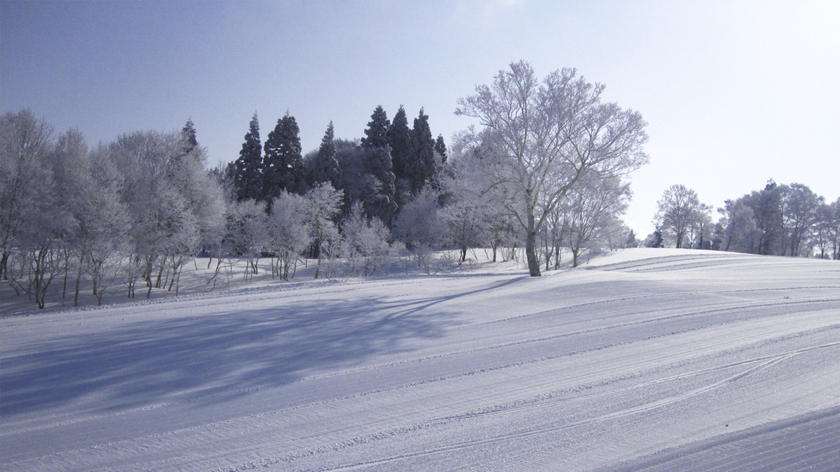 新雪の野沢温泉スキー場