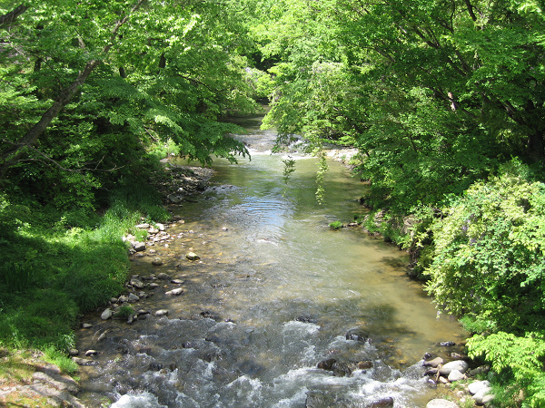 春の五百川