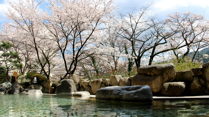 桜露天風呂