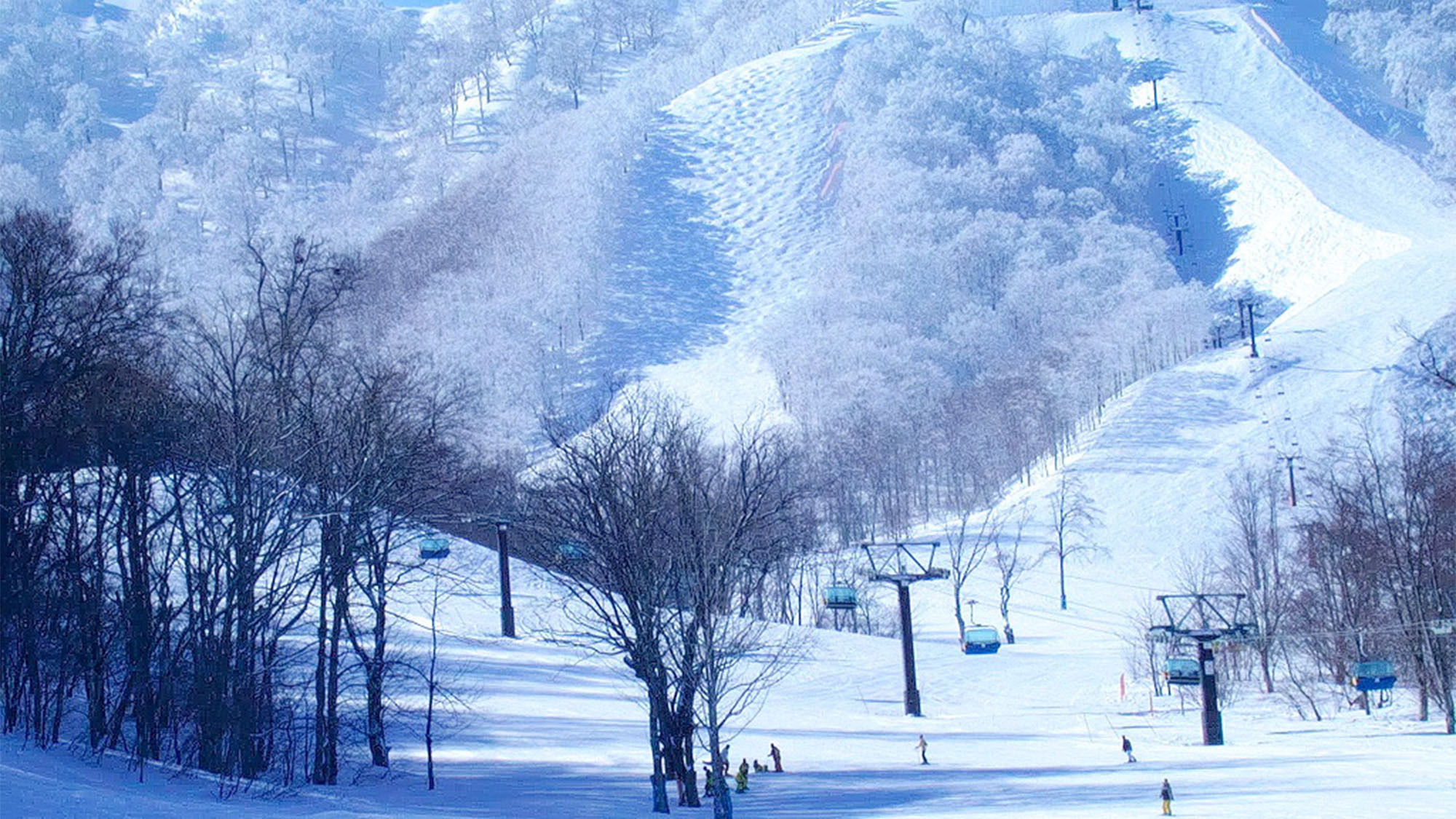 ・【周辺アクティビティ】裏磐梯のスキー場は景色も雪質も抜群です！