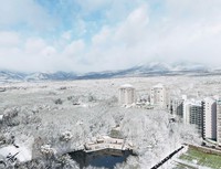 ~̂ytFAIJÁI[oCLOœ~̓ߐ{𖞋i