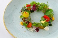 yNX}XfBi[zߐ{̐HނȂʂt`XyVR[XI