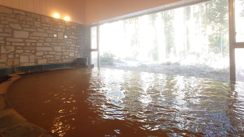 群馬でも唯一の珍しい泉質「含鉄泉」に入浴出来る温泉大浴場