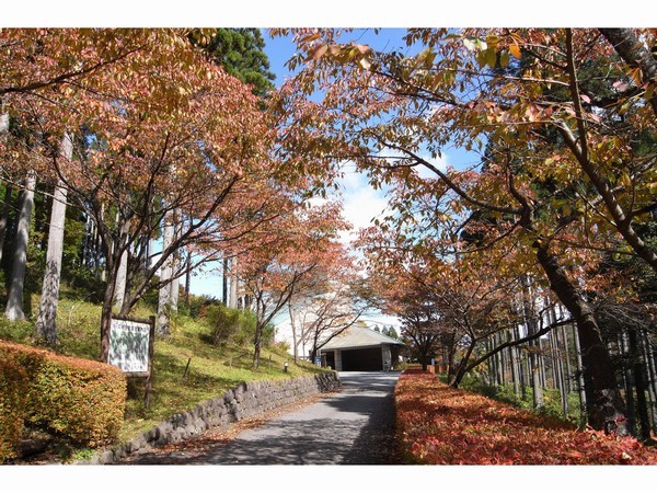 Kurabuchi Kawaura Onsen Hamayu Sanso