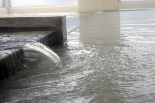 Tsubame Onsen Hotel Hanabun Image 3, Itoigawa, Japan