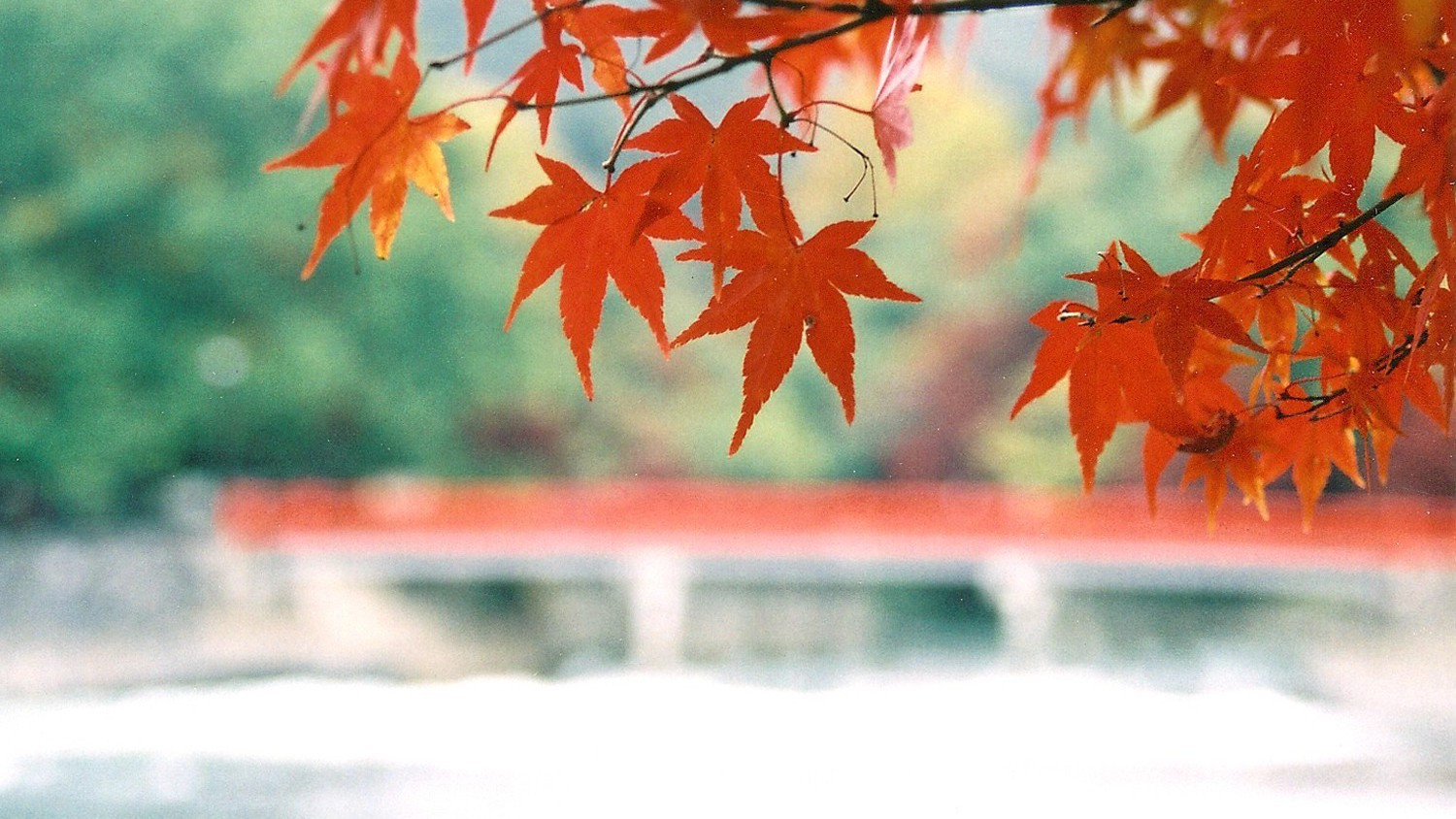 （宇治川）幻想的な景色と趣深い季節の移ろいを楽しんでいただけます。※画像はイメージ