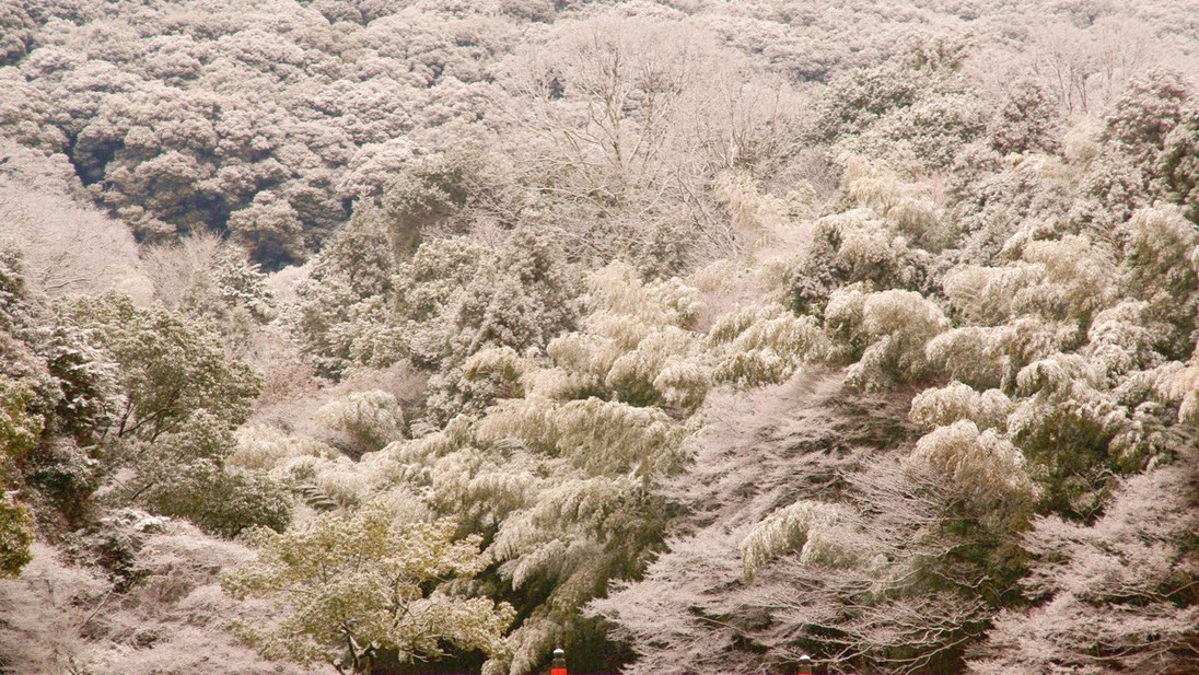 （冬の朝霧橋）宇治の風景を華やかにする朱塗りの橋※画像はイメージ