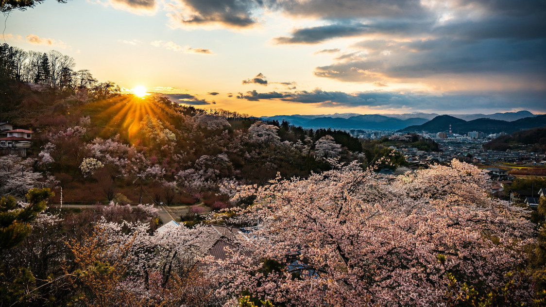 【花ももの里・花見山公園】