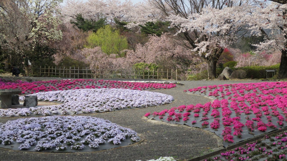 【 四季の里 緑水苑：春】四季折々の草花と樹々が魅力の回遊式庭園