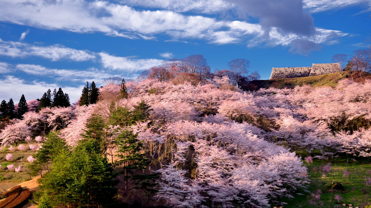 【二本松城跡】二本松城跡として国の史跡に指定「霞ヶ城公園」として日本さくら名所100選に選定