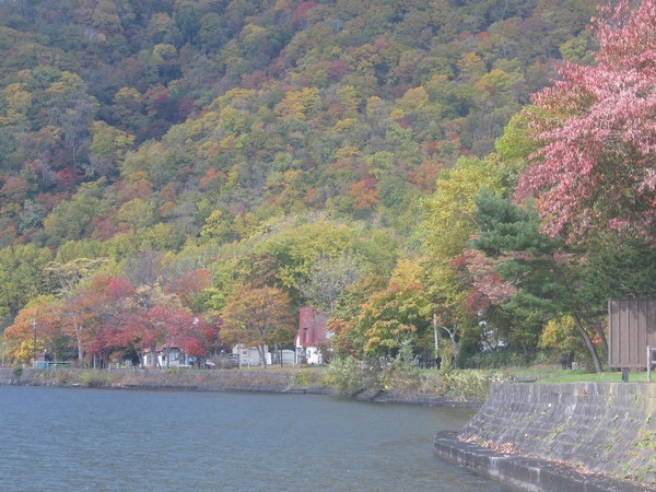 支笏湖１０月紅葉の頃