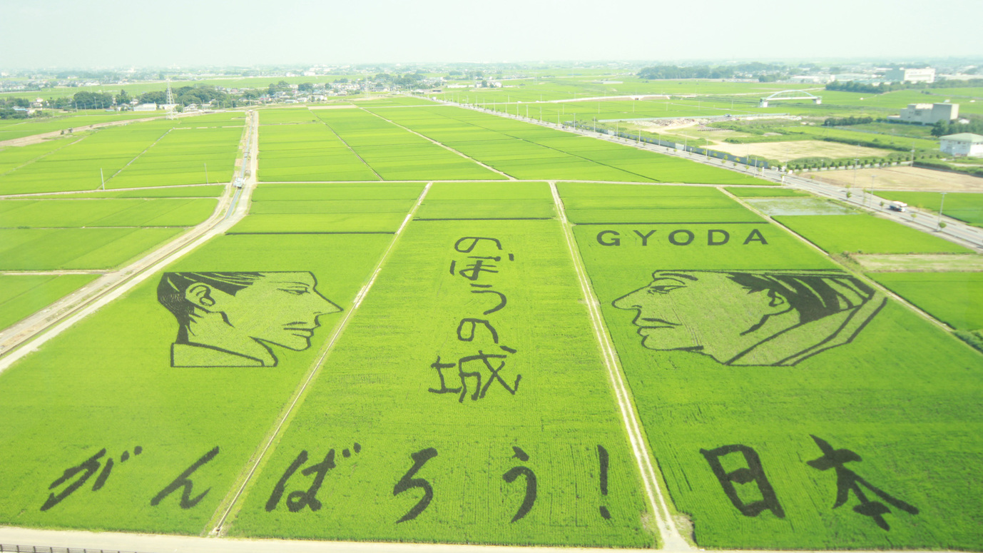 #世界最大の田んぼアート