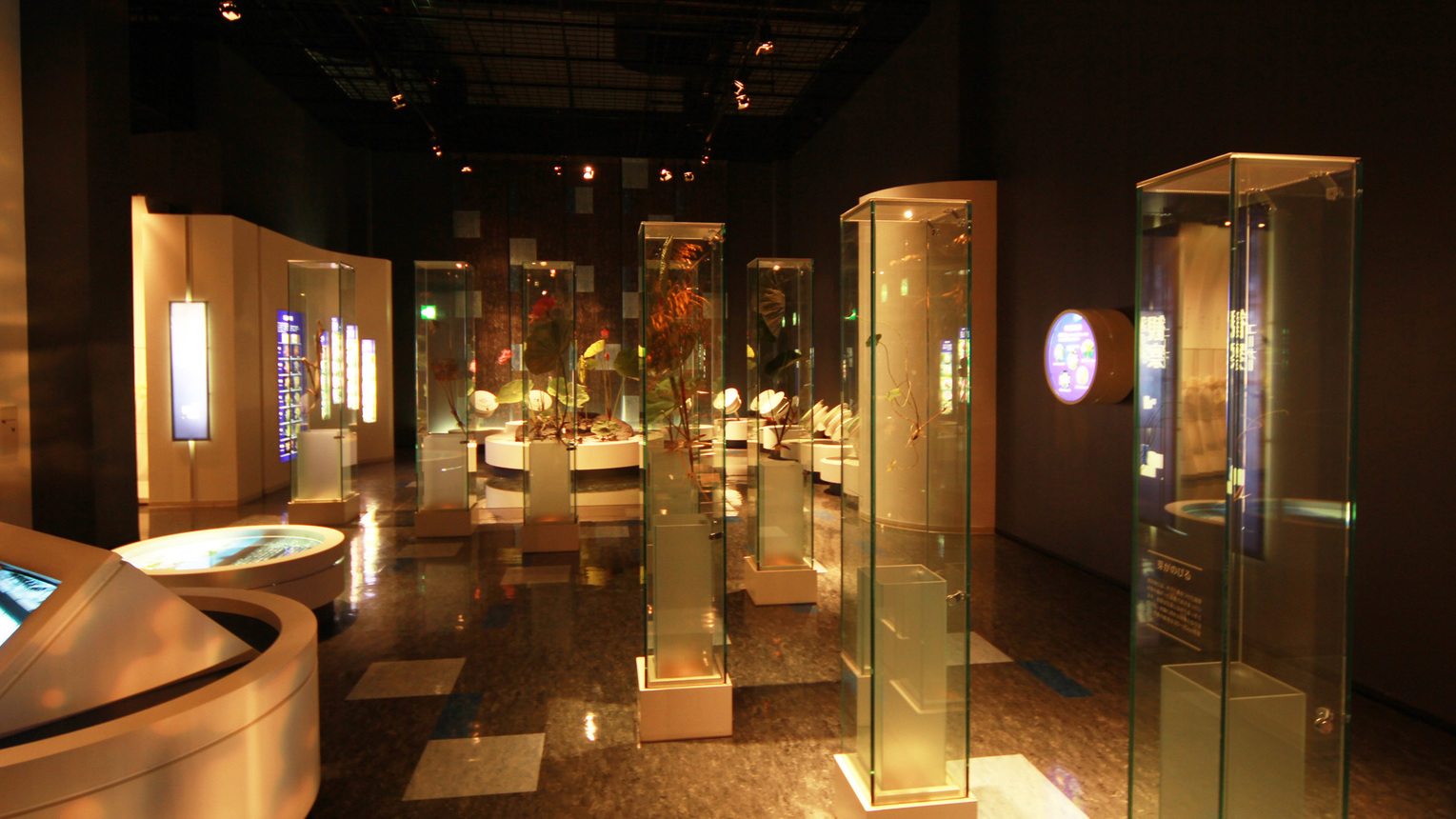 #古代蓮会館−1階展示室では蓮に関する様々な資料が展示
