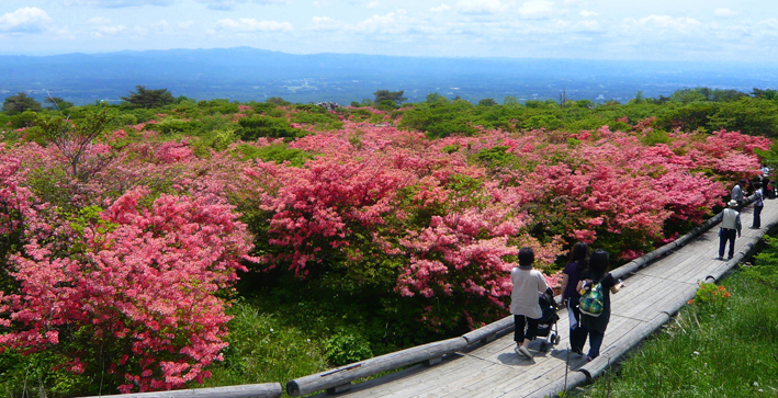 Nasu Onsen Hotel Harvest Nasu